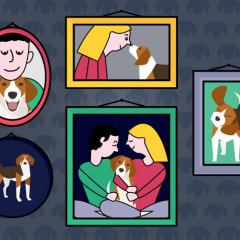 Survey: 73% Get Angry When People Tell Them How to Raise Their Own Pet