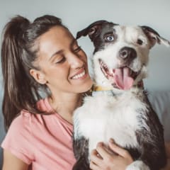 Top 10 Errors All Pet Owners Make, and Why You Should Avoid Them