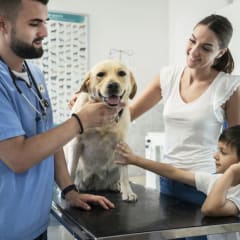 Top 10 Signs the Pet You Love May Need Veterinary Treatment
