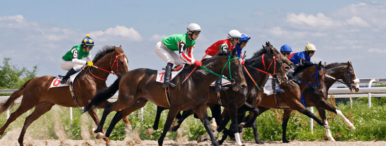 Ts Meaning Horse Racing