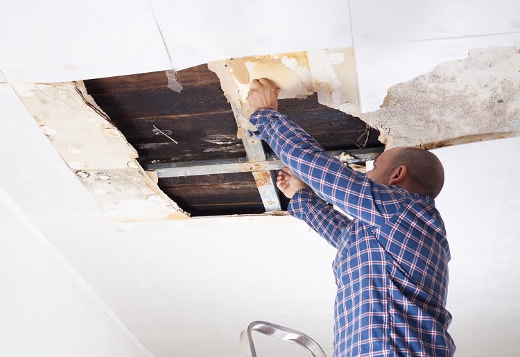 Man standing on a ladder and fixing hole in the ceiling
