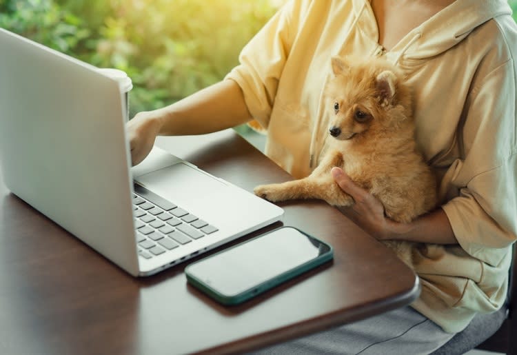 Woman typing on laptop with small dog sitting on her lap