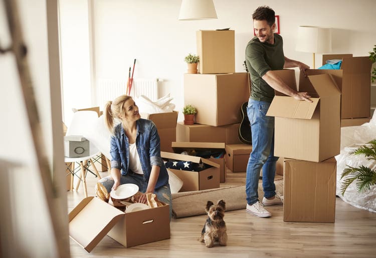 A man and woman moving their pet and boxes into a new home.