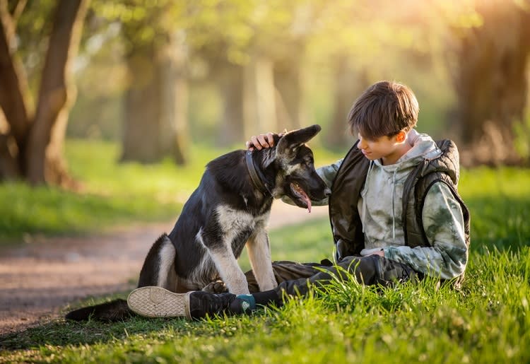 Boy sitting on grass stroking the head of his large dog
