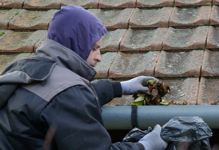 Man removing leaves from his gutter.