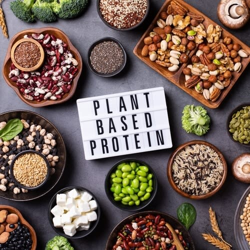 A variety of plant based proteins