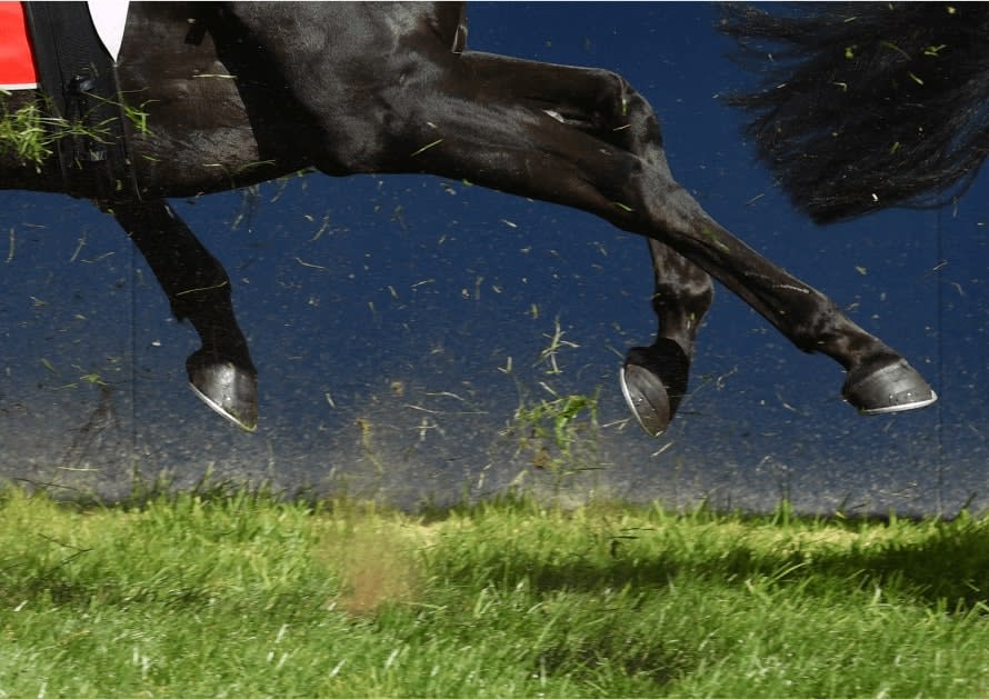 INCENTIVISE TAKES LONG ROAD HOME