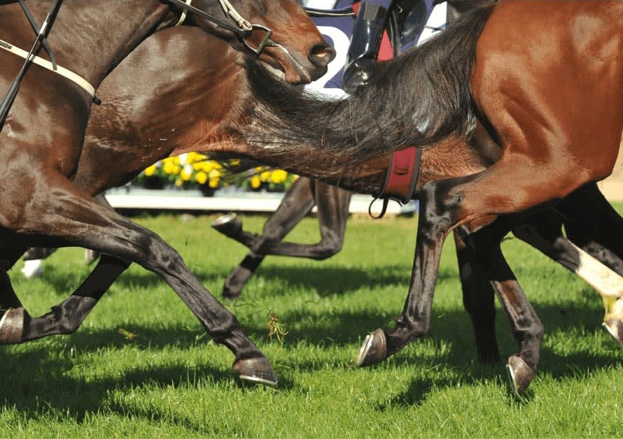 APPRENTICE CHAMP GETS LENGTHY BAN