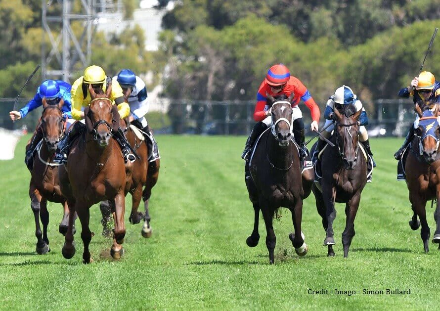 VERRY ELLEEGANT OWNERS OFFER $10M FOR MATCH RACE