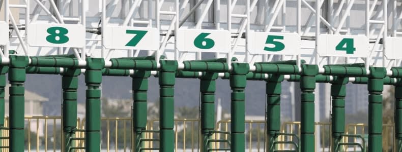 Pro Group Racing’s Top Five Selections for the 2020 Melbourne Cup