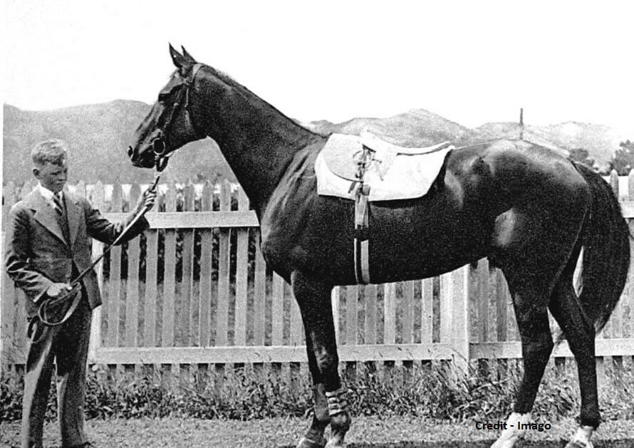 Racing Legends We've Known & Loved