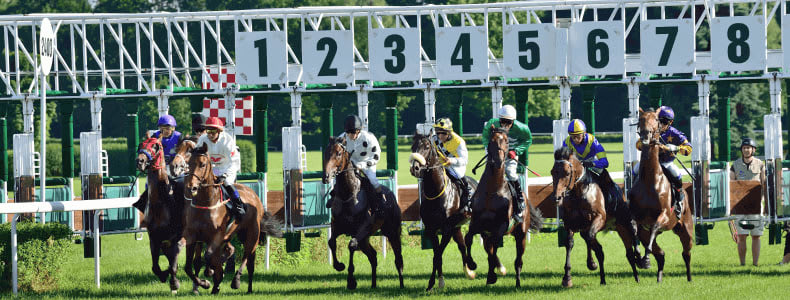 Melbourne Cup Trivia: Ready To Test Your Knowledge?