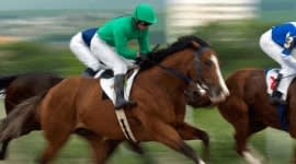 How to Bet on the 2020 Melbourne Cup