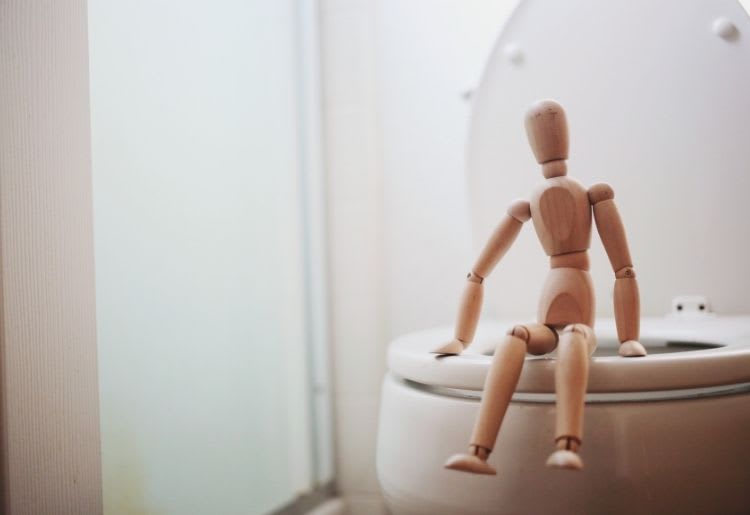 A wooden jointed doll sits on the toilet