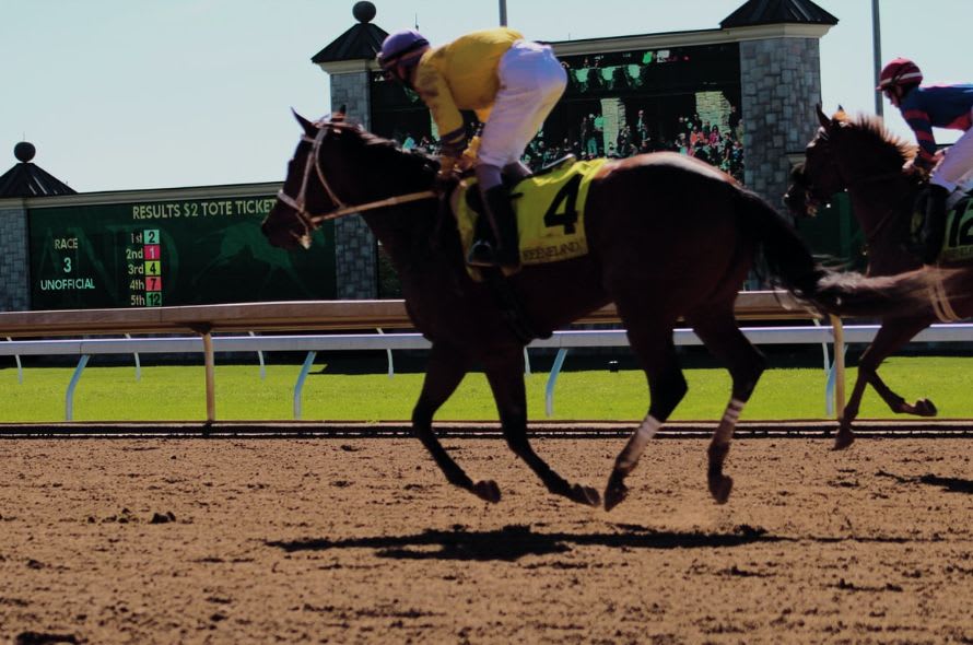 Moody Ebullient Following First Up Win in Return to Training