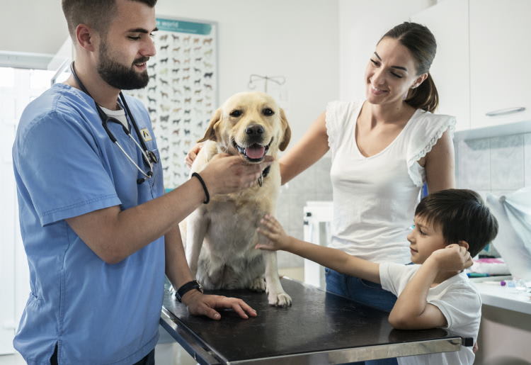 Top 10 Signs the Pet You Love May Need Vet Treatment