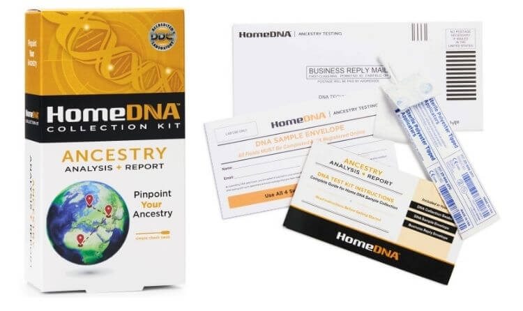 Top 10 Best DNA Testing Kits & Ancestry Companies In 2024