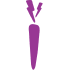 purple-carrot logo