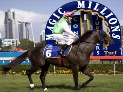 Magic Millions Sales