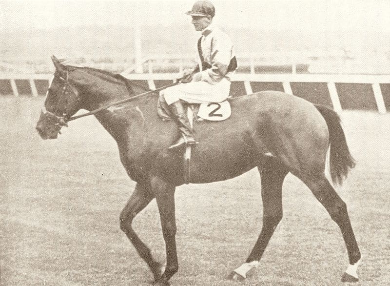 high caste champion racehorse