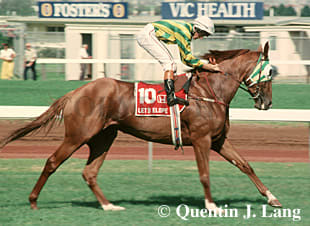 lets elope champion racehorse