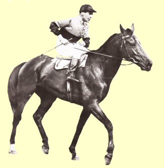 shannon racehorse