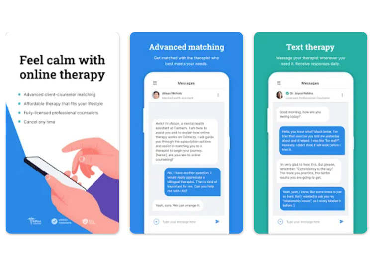Calmerry Online Therapy Review App