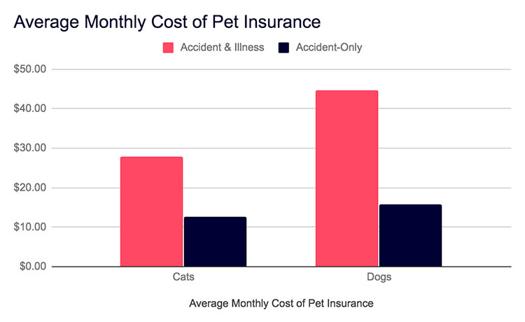 Pet Insurance Ma Cost