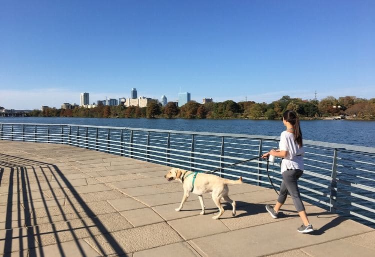 Lots of dog lovers walk their dogs in Austin along the river