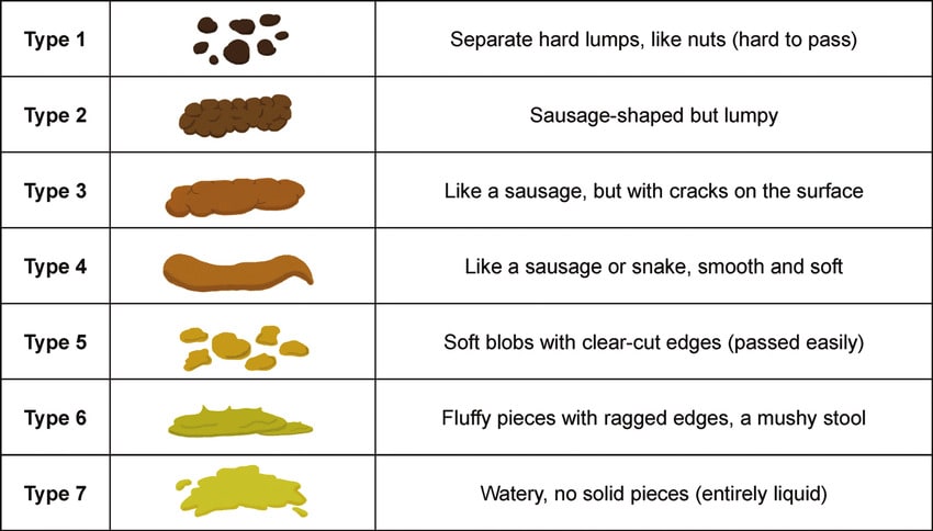 What Your Poop Says About Your Health and the Food You Should Eat