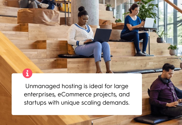 Unmanaged hosting is ideal for large enterprises, eCommerce projects, and startups with unique scaling demands.