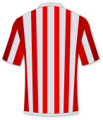 team-flag