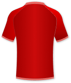 team-flag
