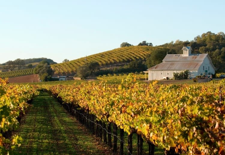 Napa Valley Hills in Autumn