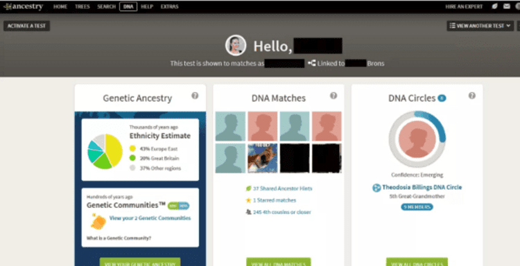 Sample AncestryDNA dashboard Sample AncestryDNA dashboard
