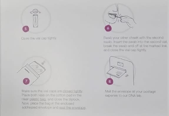 MH instructions MyHeritage DNA kit instructions 5-8
