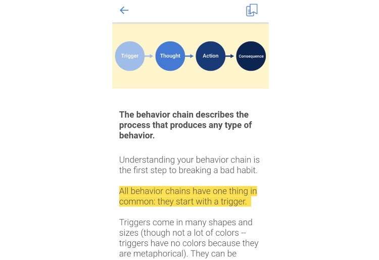 Noom behavior chain