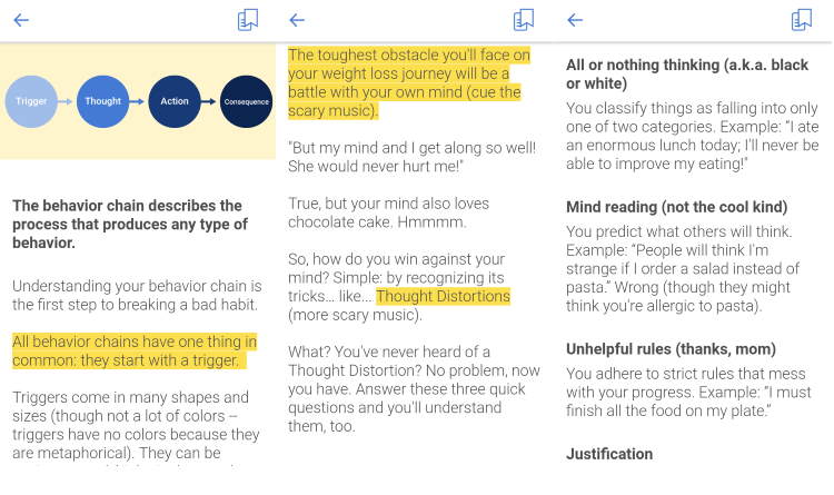 The behavior chain