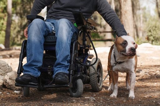 Service Animal Deduction