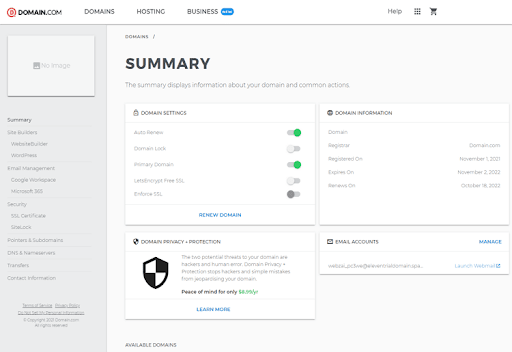 Screenshot of Domain.com summary page