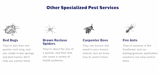 Cook's Pest Control Review: The Best Pest Control Service ...