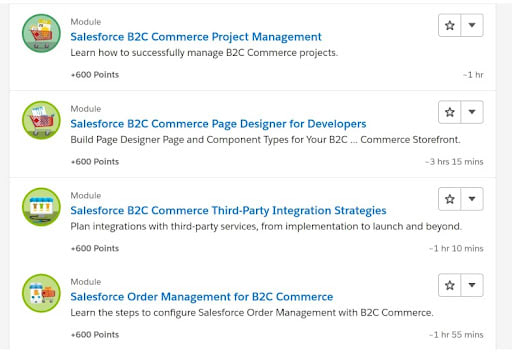 Salesforce Commerce Cloud Review 2024