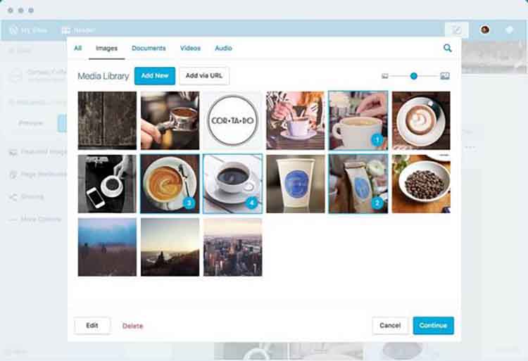 Wordpress dashboard Wordpress dashboard