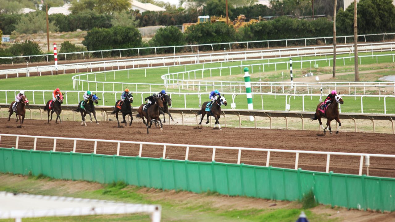Waller stablemates in protest tussle