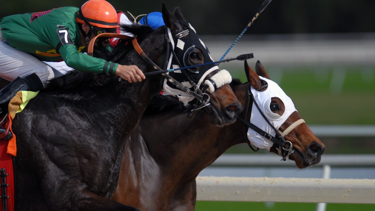 Jockeys stood down from Gosford meeting