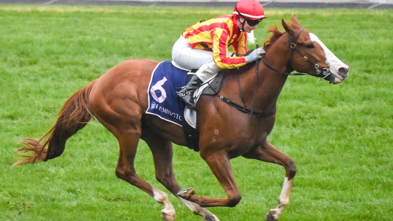 Emerging Victorian sire Fighting Sun dies