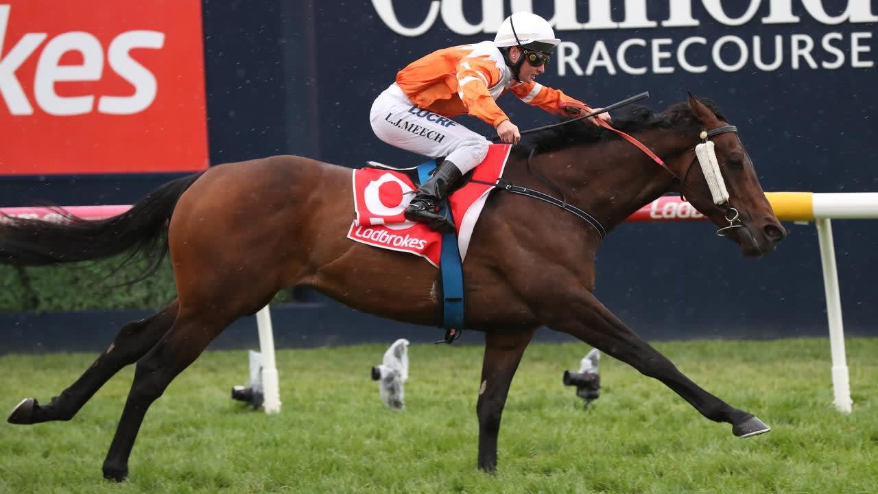 Sircconi set for back up run at Flemington