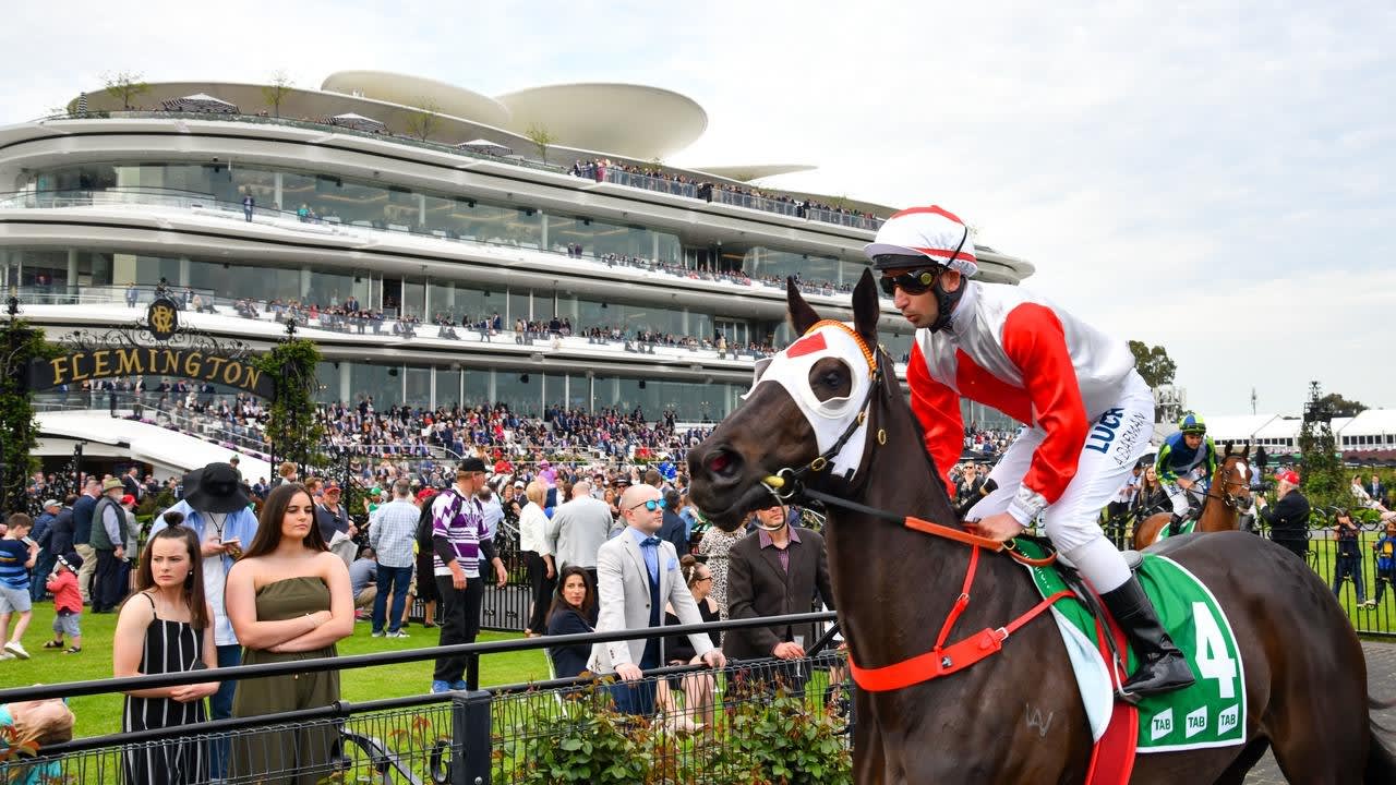 Mystic Journey entered for Devonport trial