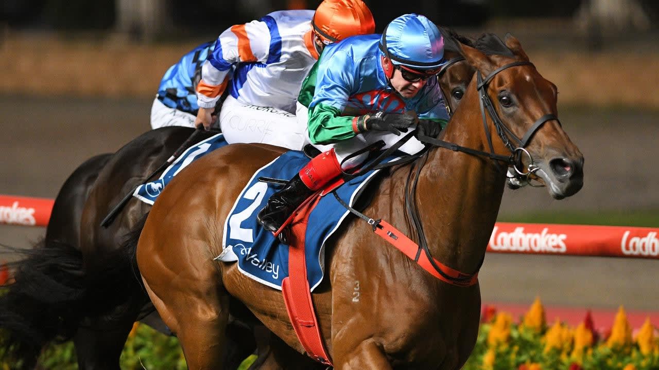 Dual Group 1 winner Scales Of Justice dies