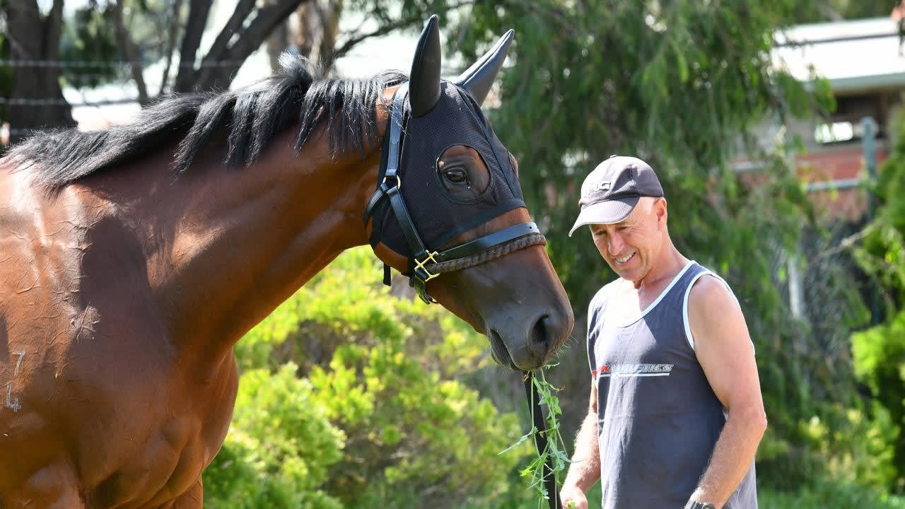 Star mare Melody Belle wins Randwick trial